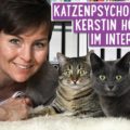 Mobile Katzenpflege Berlin