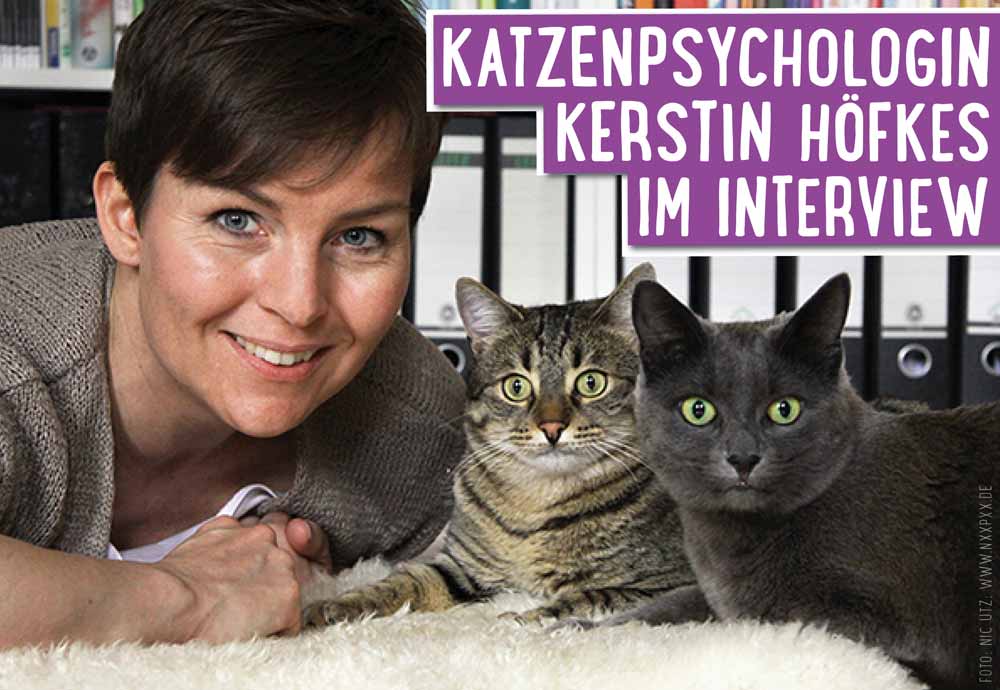 Mobile Katzenpflege Berlin