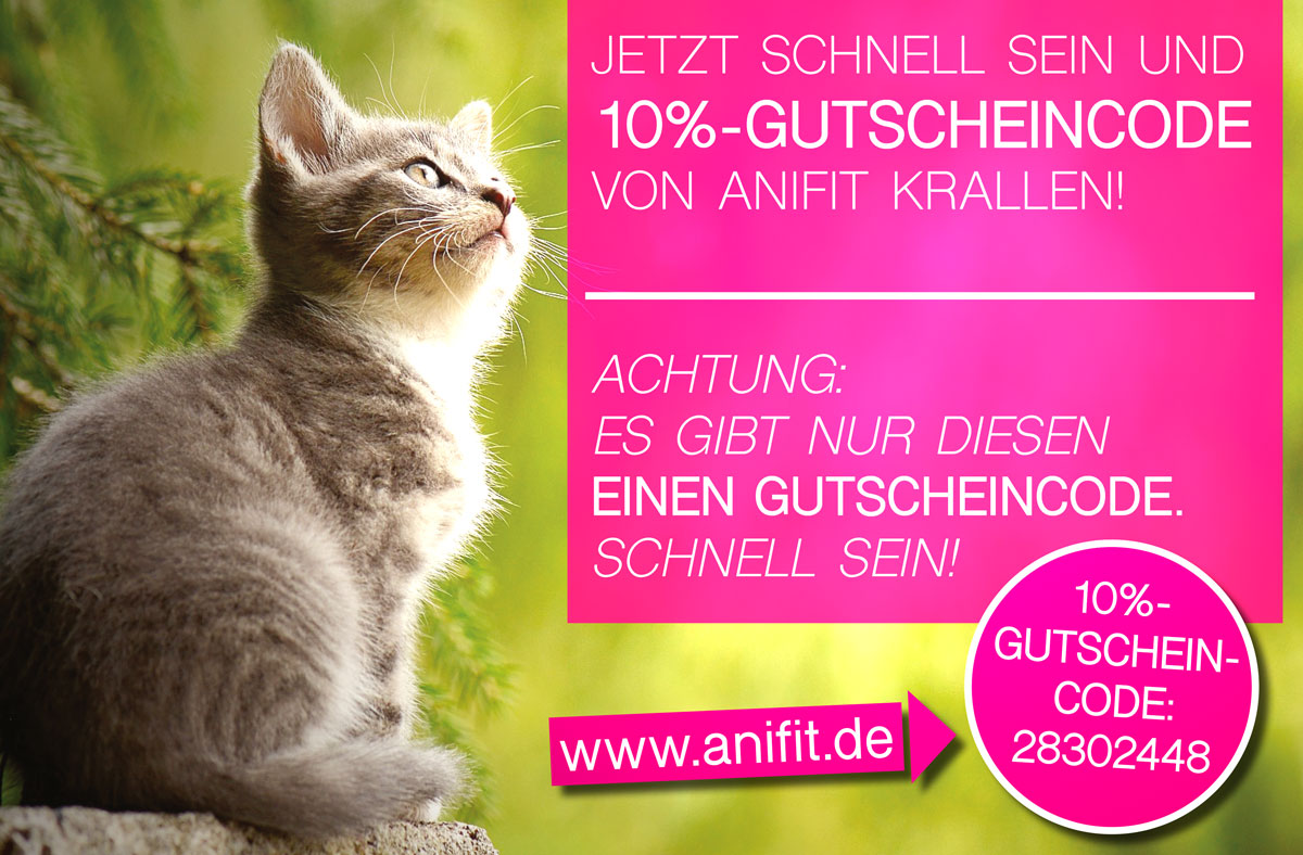 Anifit Katzenfutter - Jetzt informieren und 10%-Gutschein sichern